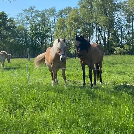 Village In Lägenhet