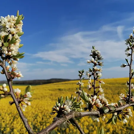Village In Lägenhet Benz (Usedom)