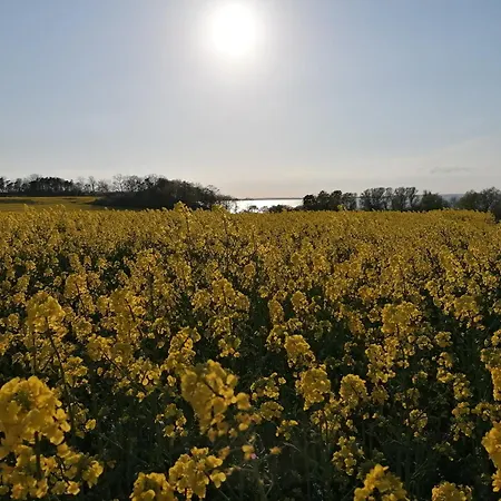 Lägenhet Village In Benz (Usedom)